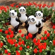 橋本佳歩が可愛い 出身高校はどこ インスタやfacebookを調査